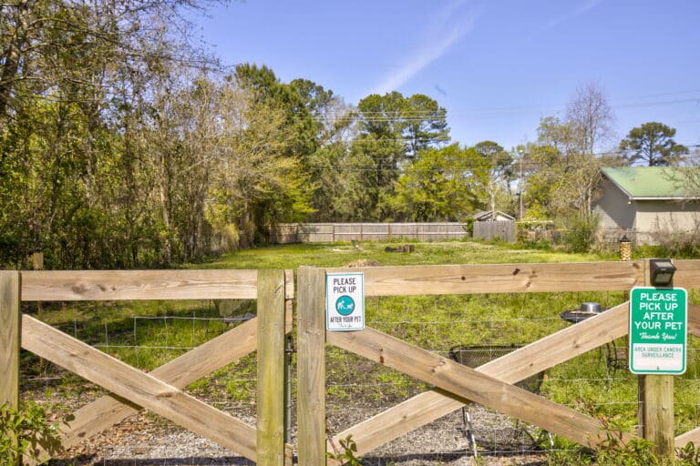Dog Park